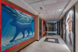 ���������� � ��������� ���� ���� 19