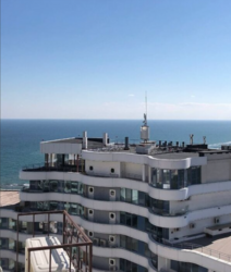 Сдам 1 комн квартиру в Аркадии, 48 Жемчужина, фото 1 Сдам 1 комн квартиру в Аркадии, 48 Жемчужина, фото 1