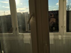 ������� �������� ������������, �������, ������������, ������ ���� 6