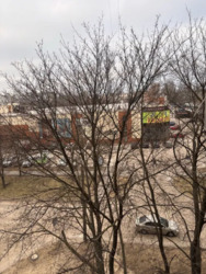 ������ 2��� ������ ���� 16