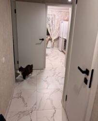 ������ 2��� ������ ���� 5