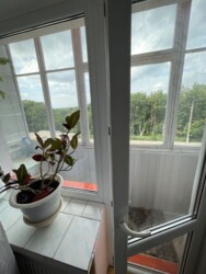 ������� �������� ���� ���., ��������, ������������, ������ ���� 2