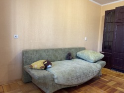 Здається квартира Лучаківського вул., 7, Тернопіль, Тернопільська, Дружба фото 13 Здається квартира Лучаківського вул., 7, Тернопіль, Тернопільська, Дружба фото 13