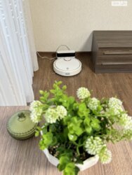 Здається квартира Лепкого Б. вул., 6а, Тернопіль, Тернопільська, БАМ фото 9 Здається квартира Лепкого Б. вул., 6а, Тернопіль, Тернопільська, БАМ фото 9