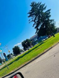 Здається квартира Дніпропетровська, Кам'янське, Кам'янське фото 5 Здається квартира Дніпропетровська, Кам'янське, Кам'янське фото 5