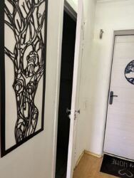 Здається квартира Дніпропетровська, Кам'янське, Кам'янське, Левый берег фото 5 Здається квартира Дніпропетровська, Кам'янське, Кам'янське, Левый берег фото 5