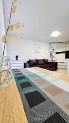 АРЕНДА 1 комнатная ЦЕНТР ул.Г.Романова. фото 3 АРЕНДА 1 комнатная ЦЕНТР ул.Г.Романова. фото 3