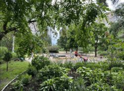 Здається квартира Дніпропетровська, Кам'янське, Кам'янське фото 2 Здається квартира Дніпропетровська, Кам'янське, Кам'янське фото 2