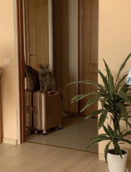 ������ ������� 1 � �������� ���� 11