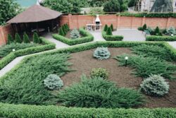 ������� ����������� 2 �. ��. � ������� ���� ���� 11