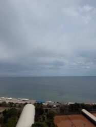 ������� ����������� 1�.����� ���� ���� 8