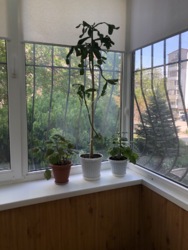 �������� � ����. ���� 9