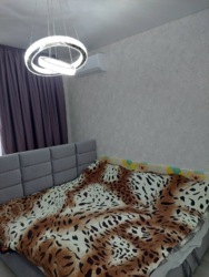 ������� �������� �������, �����������, ���������, 1 ������, 42� ���� 13