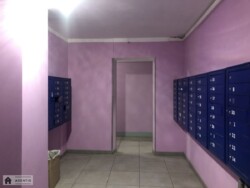   ,  ., 11, . ̳, ֳ 20 000   14