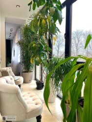 Здається квартира Олександрівська слободка, Протасів Яр вул., 8, м. Олімпійська, Ціна 2 600 $ фото 9 Здається квартира Олександрівська слободка, Протасів Яр вул., 8, м. Олімпійська, Ціна 2 600 $ фото 9