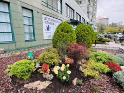 Здається квартира Солом`янський, Генерала Шаповала вул. (Механізаторів), 2, Ціна 25 000 грн фото 1 Здається квартира Солом`янський, Генерала Шаповала вул. (Механізаторів), 2, Ціна 25 000 грн фото 1