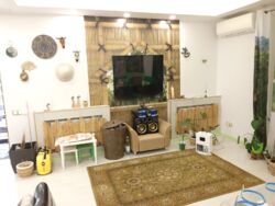 ������� �������� ���� 24