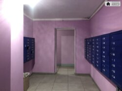   ,  ., 11, . ̳, ֳ 19 000   11