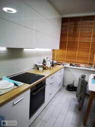 ������� �������� ���������, �������, �����������, ������� ���� 7