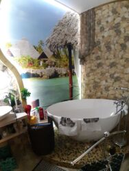 ������� �������� ���� 16