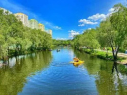 ������� �������� ������������, ������������� ���., 14�, �. �������, ֳ�� 16 000 ��� ���� 17