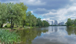 Здається квартира Оболонський, Йорданська вул. (Лайоша Гавро), 4Б, Ціна 14 000 грн фото 19 Здається квартира Оболонський, Йорданська вул. (Лайоша Гавро), 4Б, Ціна 14 000 грн фото 19