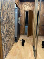 ������� �������� ����������, ������ ��������� ���. (��� �������), 5, ֳ�� 20 000 ��� ���� 4