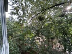 ������� �������� ���� 10