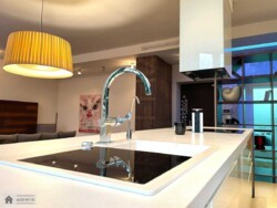 Здається квартира Олександрівська слободка, Протасів Яр вул., 8, м. Олімпійська, Ціна 2 600 $ фото 10 Здається квартира Олександрівська слободка, Протасів Яр вул., 8, м. Олімпійська, Ціна 2 600 $ фото 10