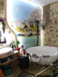 ������� �������� ���� 18