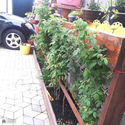 ������� �������� ������������, �������������� ���������, ����������, ������� ���� 15