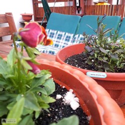 ������� �������� ������������, �������������� ���������, ����������, ������� ���� 17