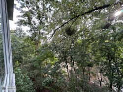 Здається квартира КПІ, Богдана Гаврилишина вул. (Ванди Василевської), 15/2, м. Політехнічний інститут фото 8 Здається квартира КПІ, Богдана Гаврилишина вул. (Ванди Василевської), 15/2, м. Політехнічний інститут фото 8