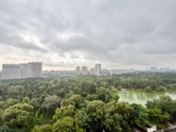 ������� �������� ������������, ������������� ���., 14�, �. �������, ֳ�� 16 000 ��� ���� 11