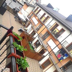 ������� �������� ������������, �������������� ���������, ����������, ������� ���� 19