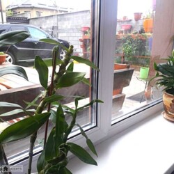 ������� �������� ������������, �������������� ���������, ����������, ������� ���� 16