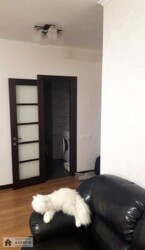    ,   . (), 25-, . ˳, ֳ 400 $  9