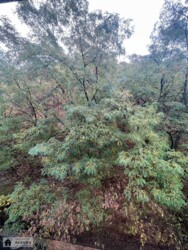 Здається квартира Поділ, Воздвиженська вул., 9-19, м. Контрактова площа, Ціна 2 600 $ фото 4 Здається квартира Поділ, Воздвиженська вул., 9-19, м. Контрактова площа, Ціна 2 600 $ фото 4