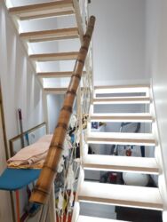 ������� �������� ���� 12