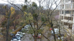 ������� �������� �������������, �������-�������� ���. (������� �������), ֳ�� 13 500 ��� ���� 17