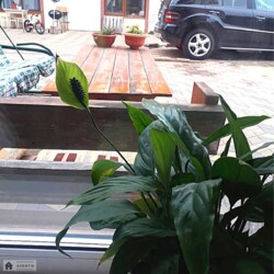 ������� �������� ������������, �������������� ���������, ����������, ������� ���� 3