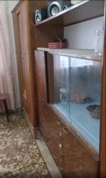 ���� 1� �������� 6500 ��� 2���� ������ ������ ���� 5