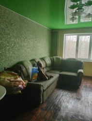 Здам 3к квартиру 8000 грн 1 мкрн Лівий берег фото 1 Здам 3к квартиру 8000 грн 1 мкрн Лівий берег фото 1