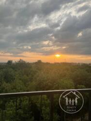 ������� �������� ���������, ����, ��������, ���������� ���� 13