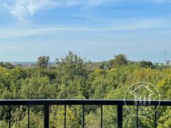 ������� �������� ���������, ����, ��������, ���������� ���� 12