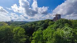 ������� �������� ������, 90, ����, ��������, ����������� ���� 24