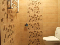 ������� �������� ����, ��������, ����������� ���� 12