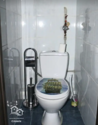 Здається квартира Соборна, Вінниця, Вінницька, Центр фото 13 Здається квартира Соборна, Вінниця, Вінницька, Центр фото 13