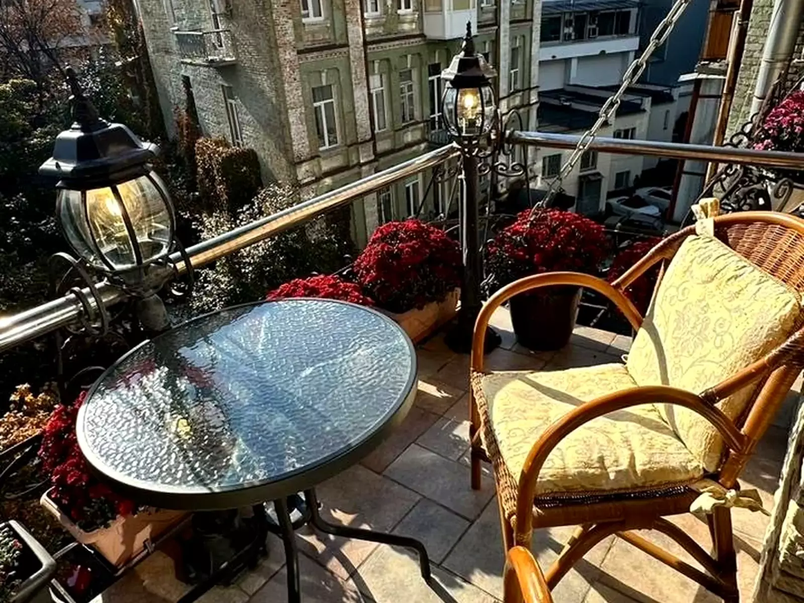 ��������, �� ������ � ���, � �������� 🐾 ���� 1