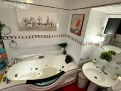 ��������, �� ������ � ���, � �������� 🐾 ���� 37